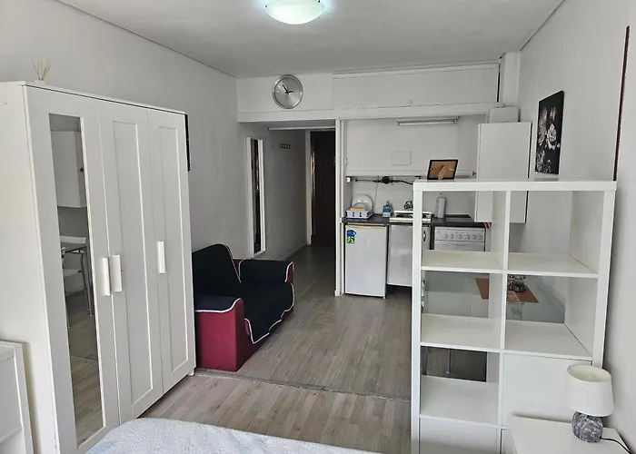 Estudio Doble Con Balcon En Madrid Centro